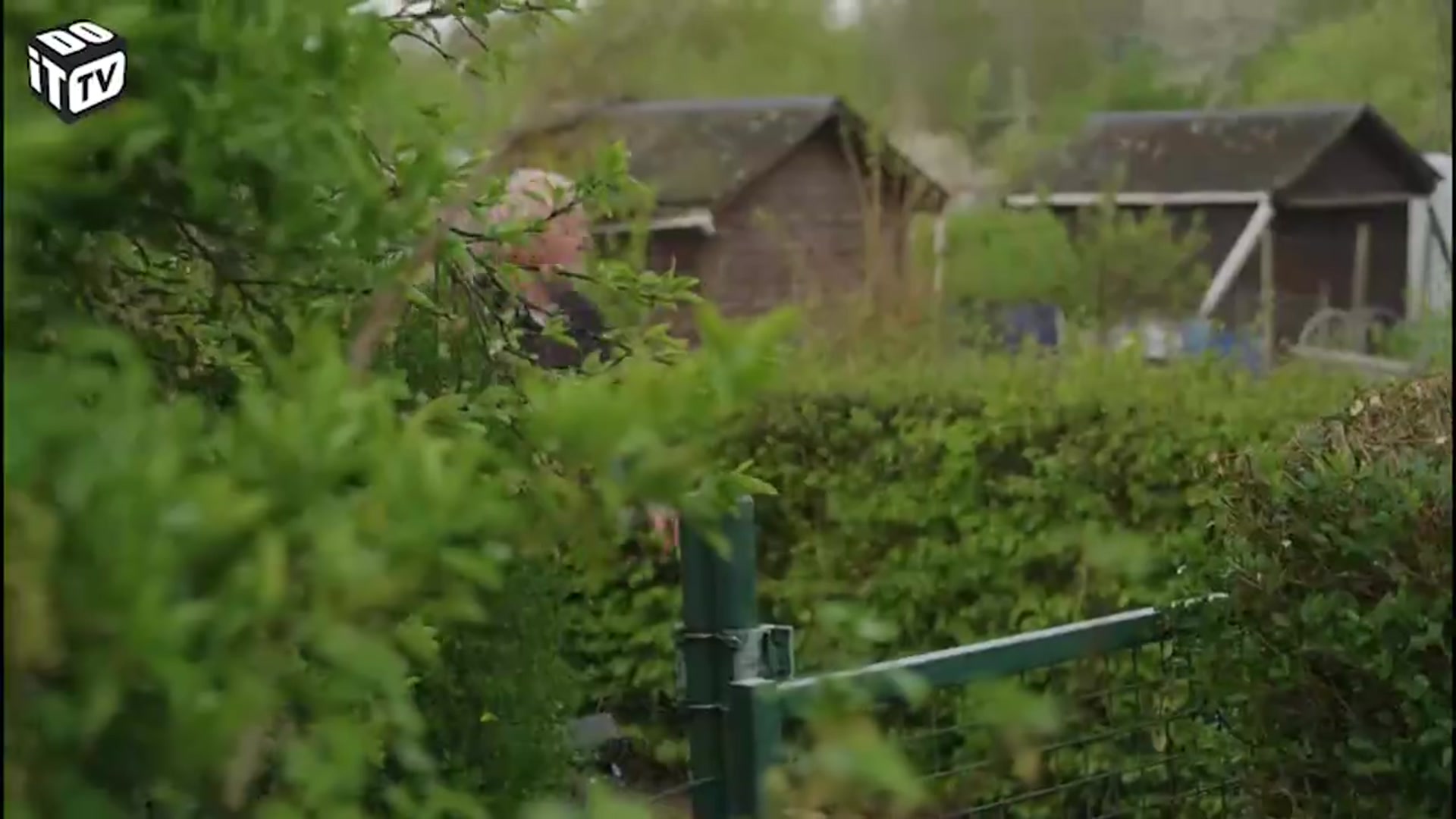 Travaux structurels au jardin: comment procéder?