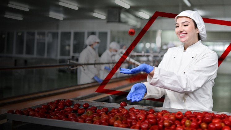 Alle juiste ingrediënten om uw bedrijf draaiende te houden